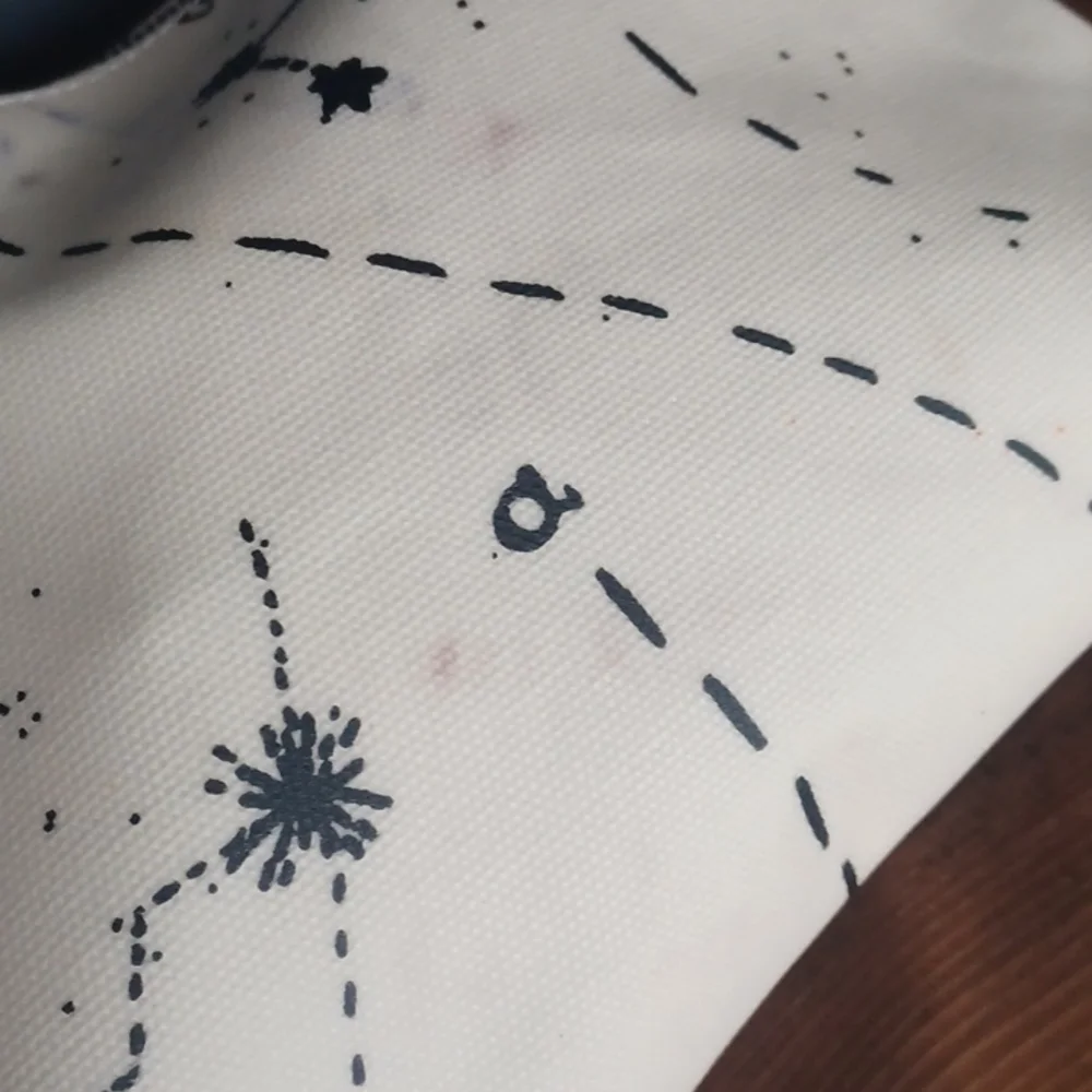 Madewell cosmetic bag